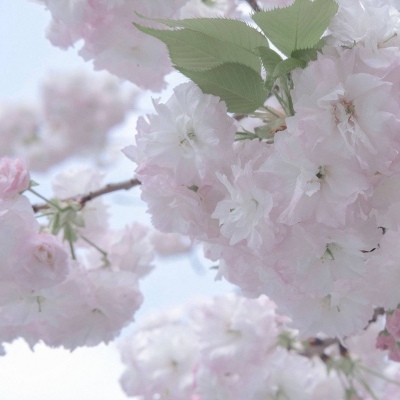 铁门关FurryQQ群介绍